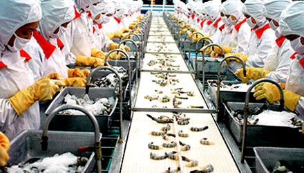 Prognose: Export von Meeresprodukten wird dieses Jahres sieben Milliarden US-Dollar betragen